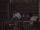 261-6152_IMG.JPG